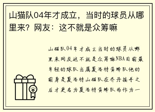 山猫队04年才成立，当时的球员从哪里来？网友：这不就是众筹嘛